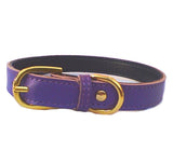Plain Chelsea Dog Collars (4 sizes) 8-16"